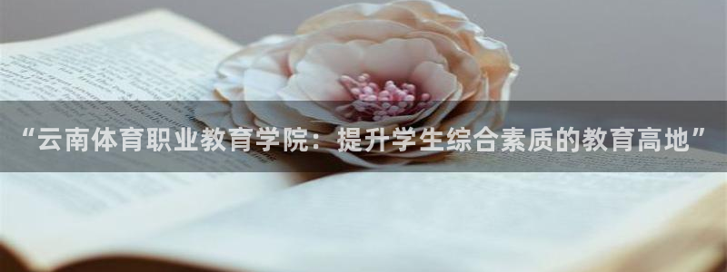 3377体育官方正版app娱乐：“云南体育职业教育学院：提升