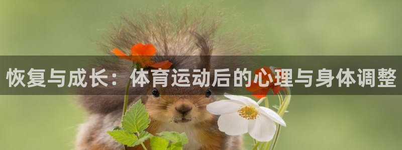 3377体育官网下载招商电话地址是多少：恢复与成长：