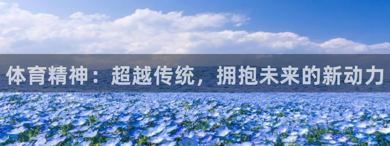 3377体育官方正版app五金厂：体育精神：超越传统
