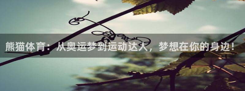 3377体育官网下载平台：熊猫体育：从奥运梦到运动达