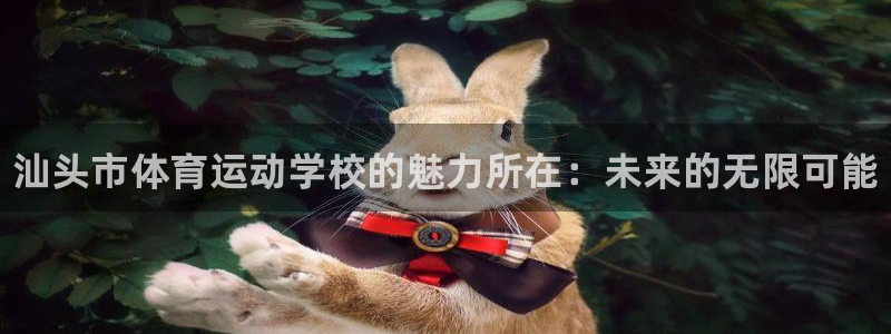 3377体育官网下载：汕头市体育运动学校的魅力所在：