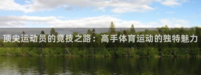 注册3377体育官方正版app：顶尖运动员的竞技之路