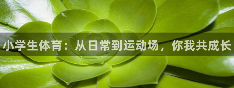 3377体育官方正版app娱乐首页网站大全：小学生体