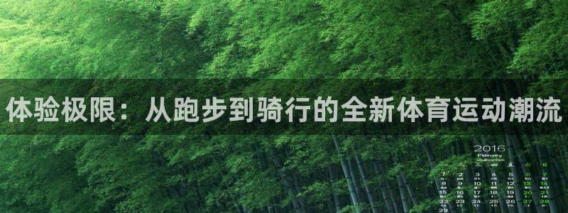 3377体育官网下载注册：体验极限：从跑步到骑行的全