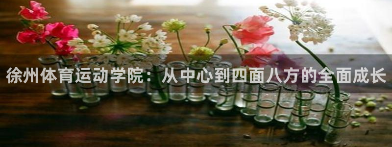 3377体育官方正版app集团：徐州体育运动学院：从