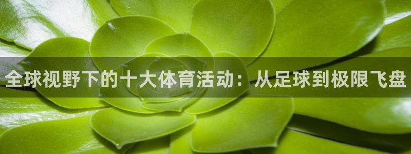 3377体育官网下载招商电话号码查询：全球视野下的十