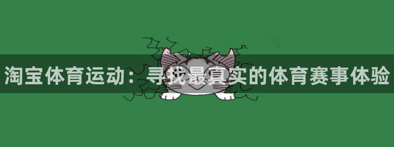 3377体育官网下载平台注册要钱吗：淘宝体育运动：寻找最真实