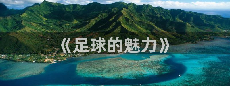 3377体育官方正版app娱乐40996：《足球的魅