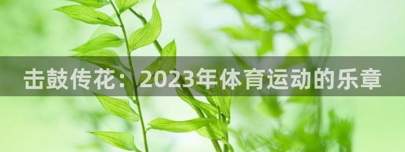 3377体育官网下载平台APP：击鼓传花：2023年体育运动