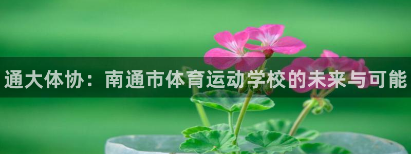 3377体育官网下载招商电话地址：通大体协：南通市体