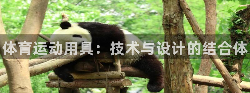 3377体育官方正版app代理：体育运动用具：技术与