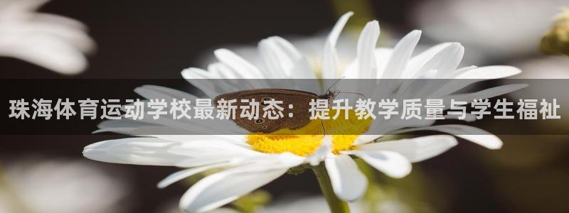 3377体育官网下载招商电话号码是多少：珠海体育运动学校最新