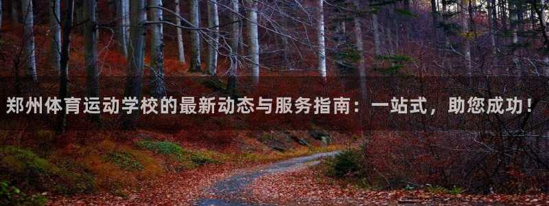 3377体育官方集团官网：郑州体育运动学校的最新动态与服务指