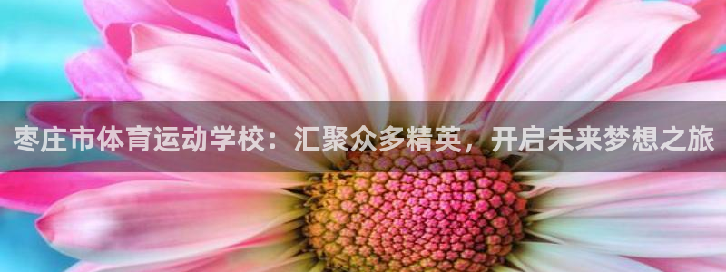 海南3377体育官网下载：枣庄市体育运动学校：汇聚众多精英，