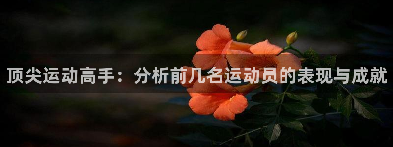 3377体育官方正版app娱乐是那个系列的台子