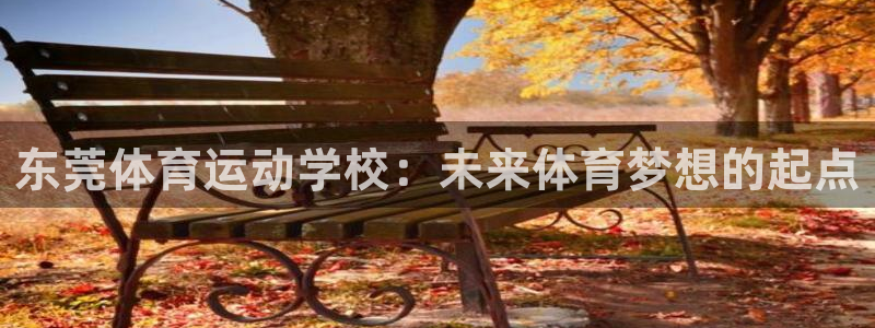 注册3377体育官方正版app：东莞体育运动学校：未来体育梦
