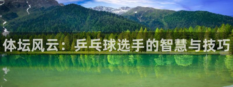 3377体育官网下载平台注册要钱吗安全吗：体坛风云：乒乓球选