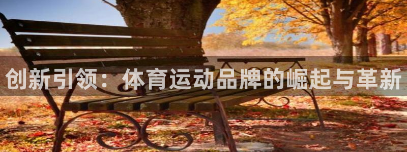 3377体育官网下载招商电话号码是多少：创新引领：体育运动品