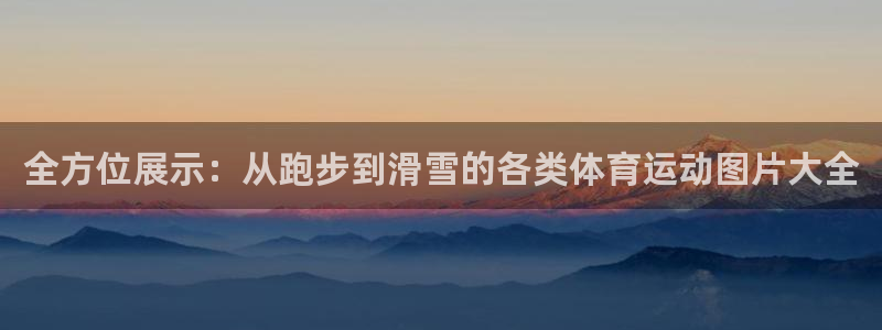 3377体育唯一官方网站：全方位展示