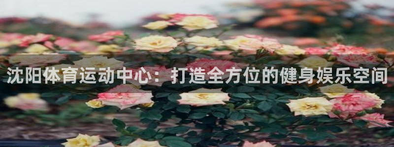 3377体育最害怕三个东西：沈阳体育运动中心：打造全方位的健