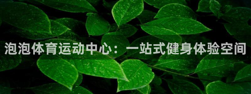 3377体育是哪的：泡泡体育运动中心