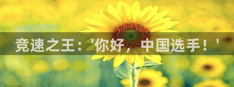 3377体育被国家取消了吗现在：竞速