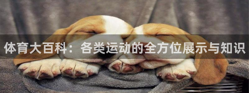 3377体育出款正常不：体育大百科：各类运动的全方位展示与知