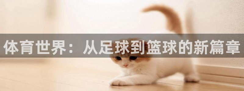 3377体育提款容易通过吗：体育世界：从足球到篮球的新篇章