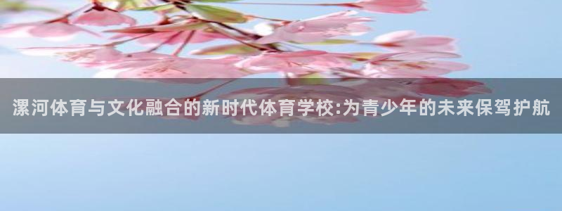 3377体育游戏：漯河体育与文化融合的新时代体育学校:为青少