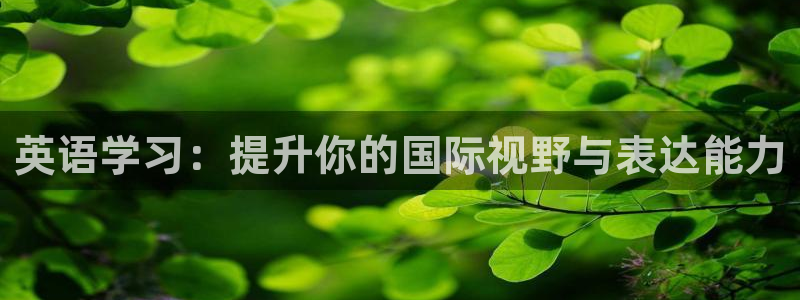 3377体育中国官方网站入口：英语学习：提升你的国际视野与表