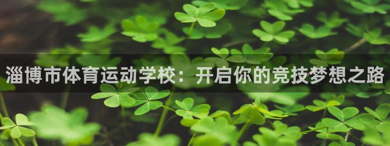 3377体育为什么提不出来：淄博市体