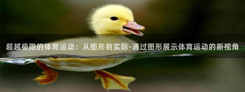 3377体育犯法吗：超越极限的体育运