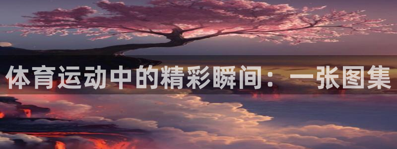 3377体育退款最新政策