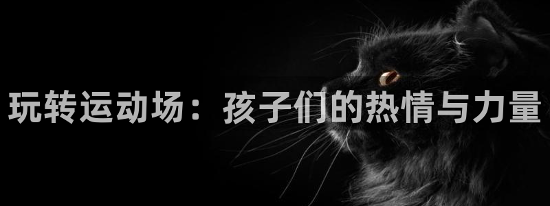 3377体育官方正版app官方：玩转运动场：孩子们的