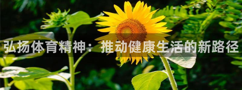 3377体育官网下载招商电话：弘扬体育精神：推动健康