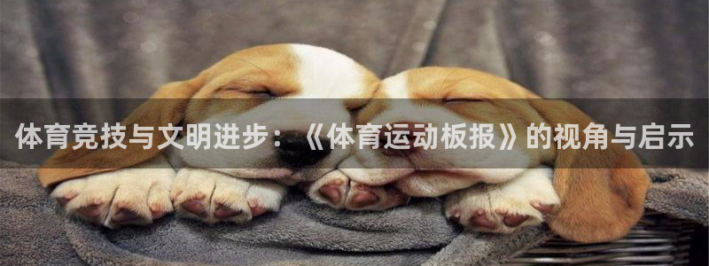 3377体育官方正版app娱乐40996：体育竞技与