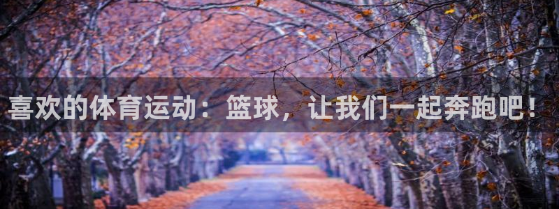 3377体育官网下载是干嘛的公司：喜欢的体育运动：篮