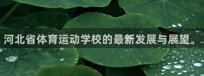 3377体育官网下载平台注册流程视频：河北省体育运动