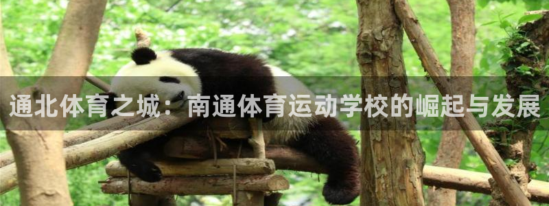 3377体育官方正版app集团：通北体育之城：南通体