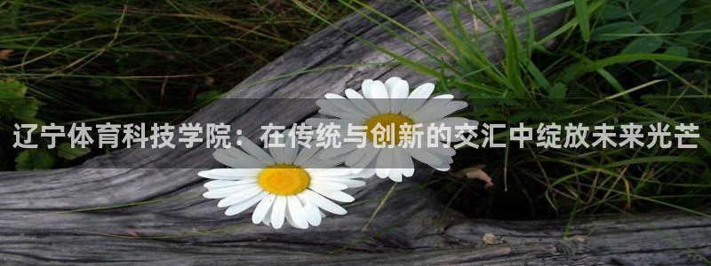 3377体育官网下载平台：辽宁体育科技学院：在传统与
