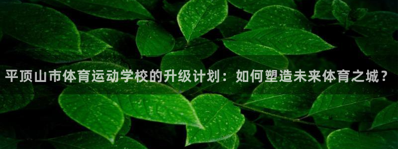 3377体育官方正版app官网：平顶山市体育运动学校