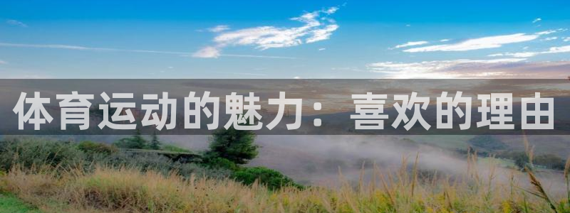 3377体育官网下载平台注册要钱吗：体育运动的魅力：