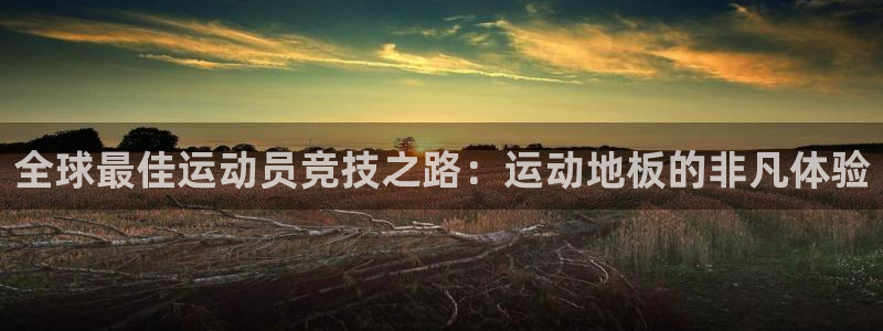 3377体育官方正版app娱乐：全球最佳运动员竞技之