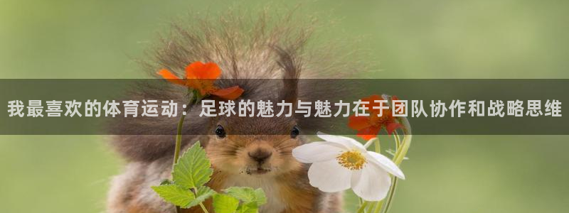 3377体育官网下载平台假的吗是真的吗吗：我最喜欢的