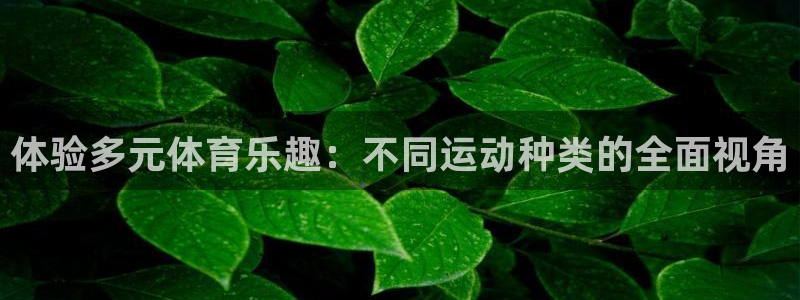 3377体育官方正版app科技:体验多元体育乐趣:不同运动种