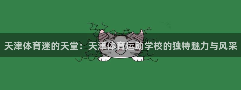 3377体育官网下载注册：天津体育迷的天堂：天津体育