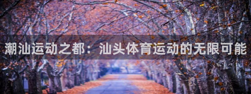 3377体育官方正版app五金厂：潮汕运动之都：汕头