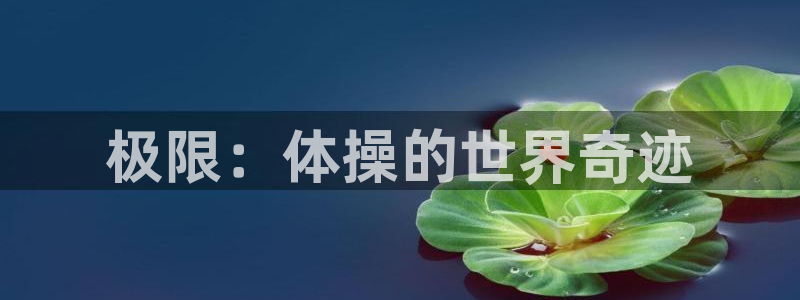 3377体育官方正版app神州:极限:体操的世界奇迹